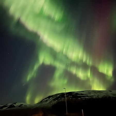 Stora-Asgeirsa Horse Farm Stay Vithigerthi 외부 사진
