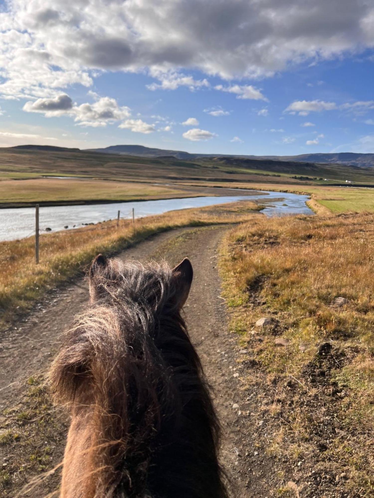 Stora-Asgeirsa Horse Farm Stay Vithigerthi 외부 사진