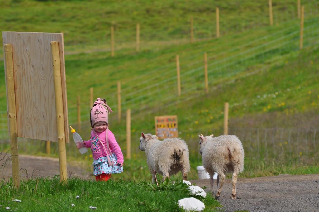 Stora-Asgeirsa Horse Farm Stay Vithigerthi 외부 사진