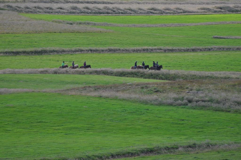 Stora-Asgeirsa Horse Farm Stay Vithigerthi 외부 사진