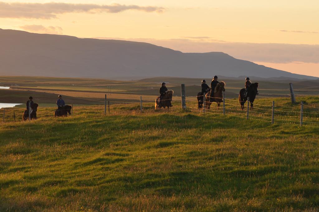 Stora-Asgeirsa Horse Farm Stay Vithigerthi 외부 사진
