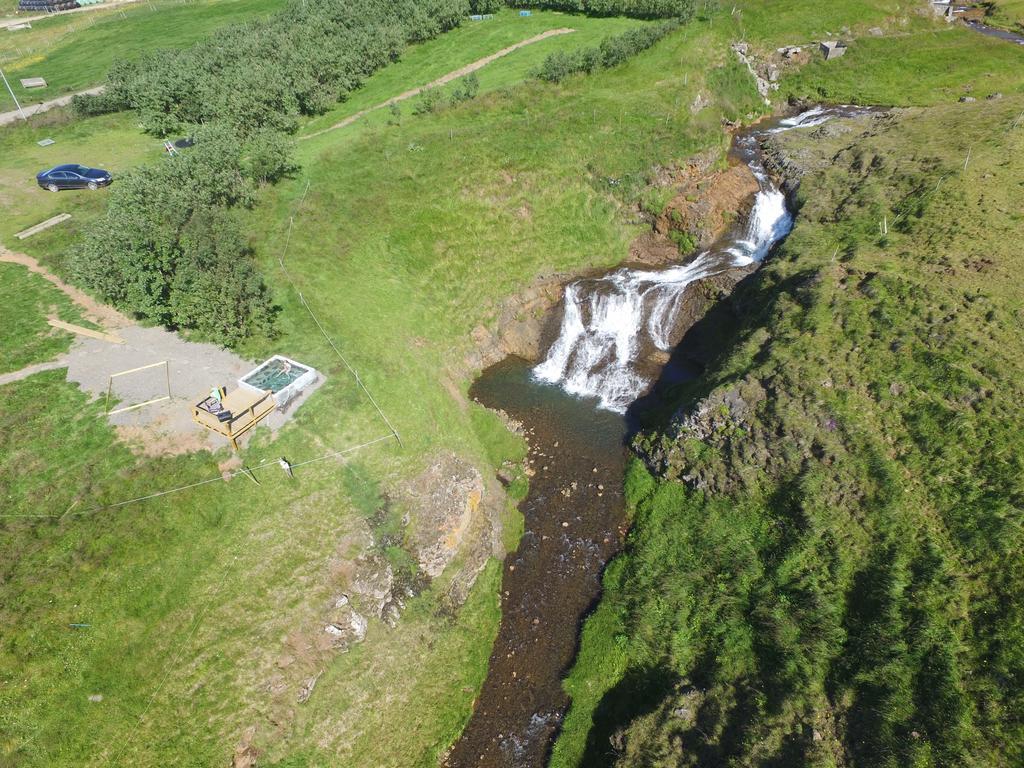Stora-Asgeirsa Horse Farm Stay Vithigerthi 외부 사진